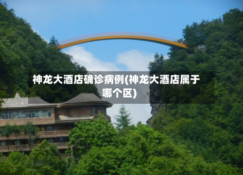 神龙大酒店确诊病例(神龙大酒店属于哪个区)-第3张图片