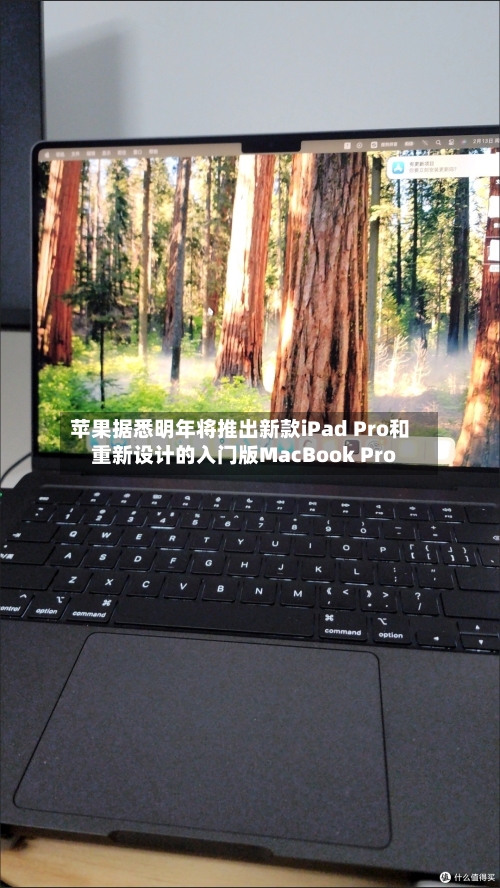 苹果据悉明年将推出新款iPad Pro和重新设计的入门版MacBook Pro-第1张图片