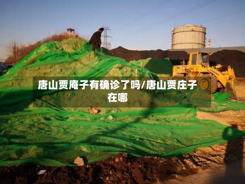 唐山贾庵子有确诊了吗/唐山贾庄子在哪