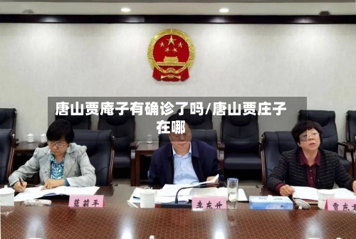 唐山贾庵子有确诊了吗/唐山贾庄子在哪-第2张图片