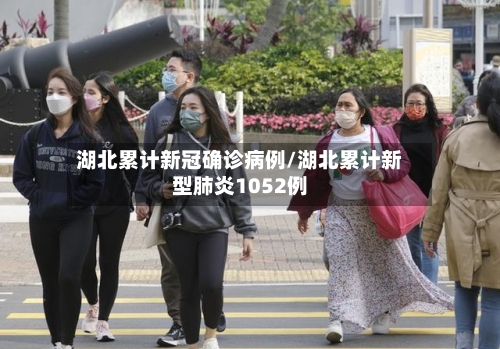 湖北累计新冠确诊病例/湖北累计新型肺炎1052例