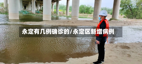 永定有几例确诊的/永定区新增病例-第2张图片