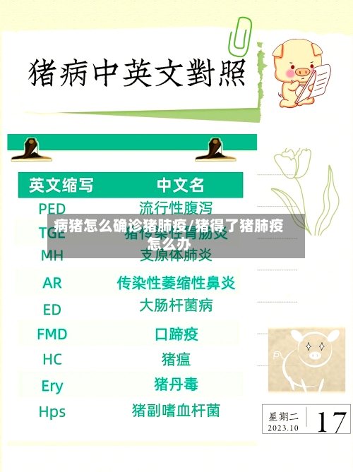 病猪怎么确诊猪肺疫/猪得了猪肺疫怎么办-第2张图片