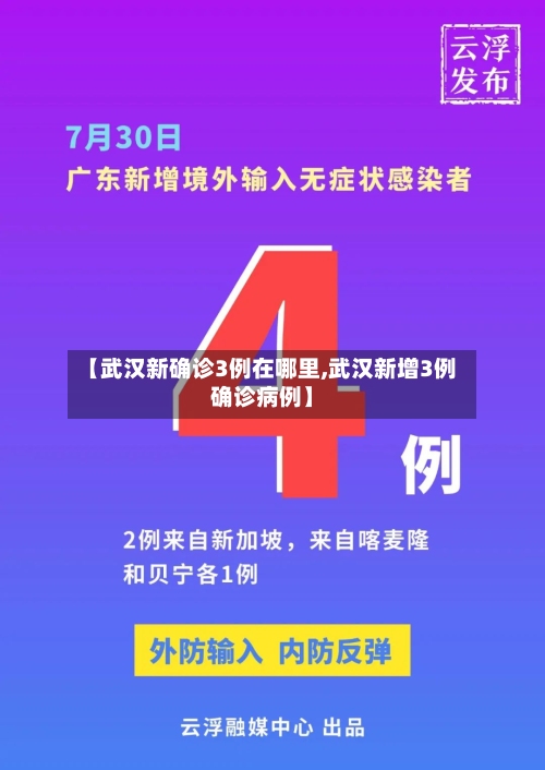 【武汉新确诊3例在哪里,武汉新增3例确诊病例】
