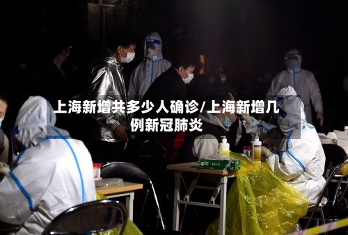上海新增共多少人确诊/上海新增几例新冠肺炎-第2张图片