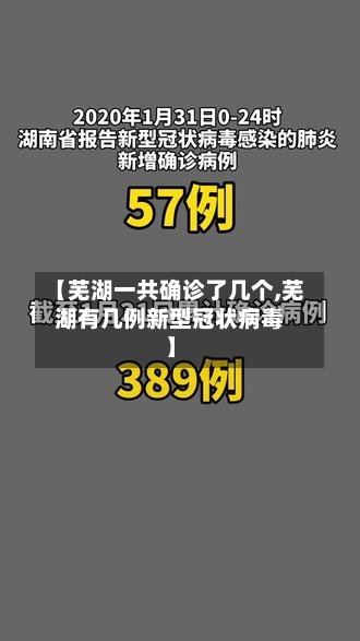 【芜湖一共确诊了几个,芜湖有几例新型冠状病毒】