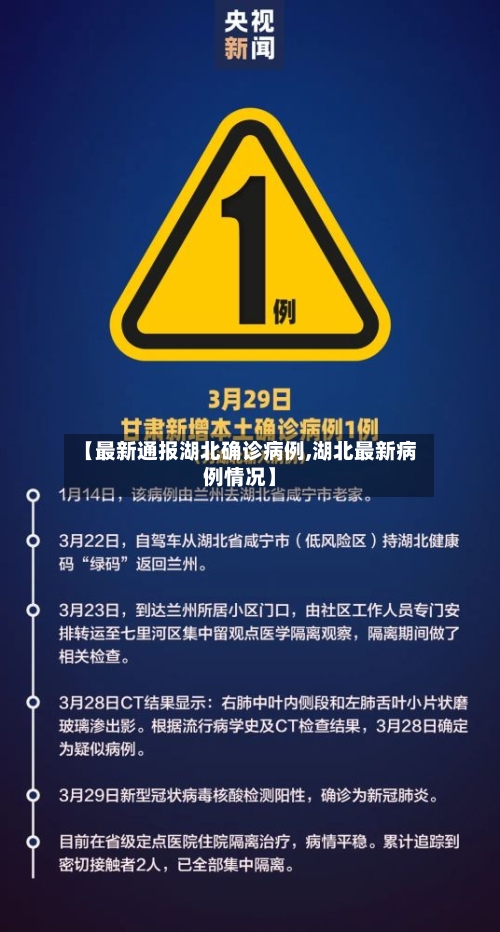 【最新通报湖北确诊病例,湖北最新病例情况】-第2张图片