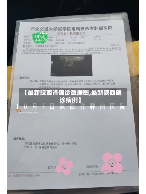 【最新陕西省确诊数据图,最新陕西确诊病例】