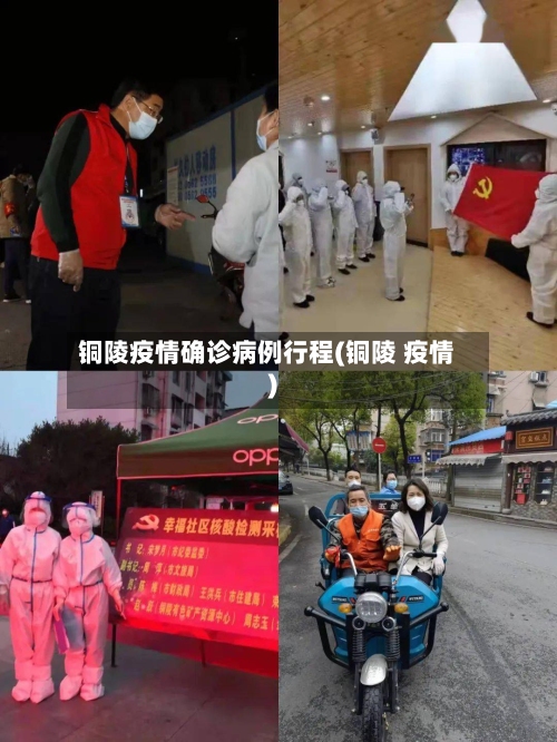 铜陵疫情确诊病例行程(铜陵 疫情)-第3张图片