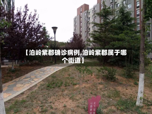 【泊岭紫郡确诊病例,泊岭紫郡属于哪个街道】