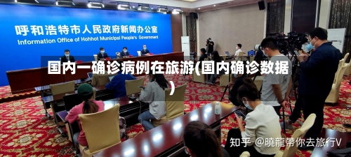 国内一确诊病例在旅游(国内确诊数据)