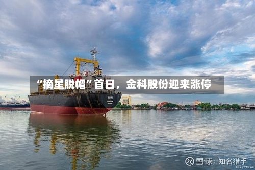 “摘星脱帽	”首日	，金科股份迎来涨停-第1张图片