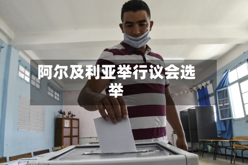 阿尔及利亚举行议会选举-第2张图片