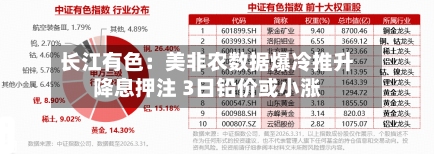 长江有色：美非农数据爆冷推升降息押注 3日铅价或小涨-第1张图片