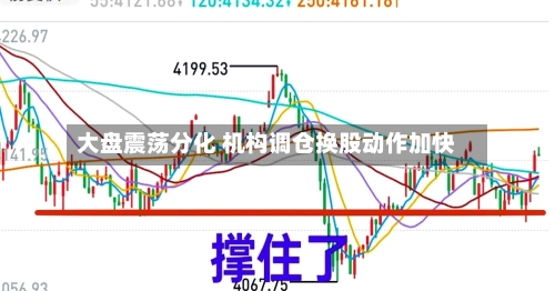 大盘震荡分化 机构调仓换股动作加快