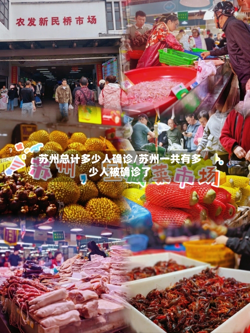 苏州总计多少人确诊/苏州一共有多少人被确诊了