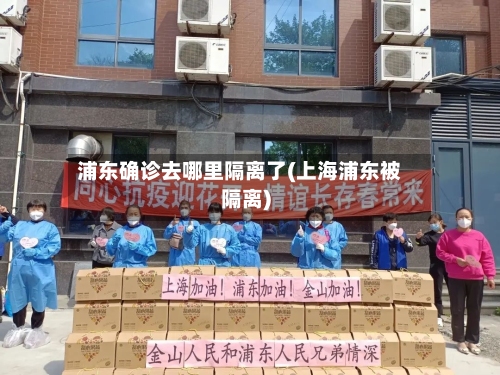 浦东确诊去哪里隔离了(上海浦东被隔离)-第3张图片