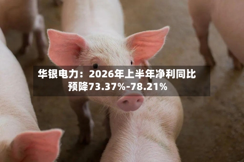 华银电力:2026年上半年净利同比预降73.37%-78.21%-第2张图片