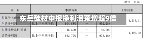 东岳硅材中报净利润预增超9倍