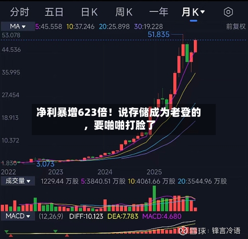净利暴增623倍！说存储成为老登的	，要啪啪打脸了-第1张图片