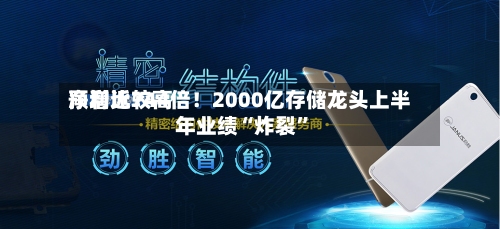 净利比较高预增近744倍！2000亿存储龙头上半年业绩“炸裂	”-第2张图片
