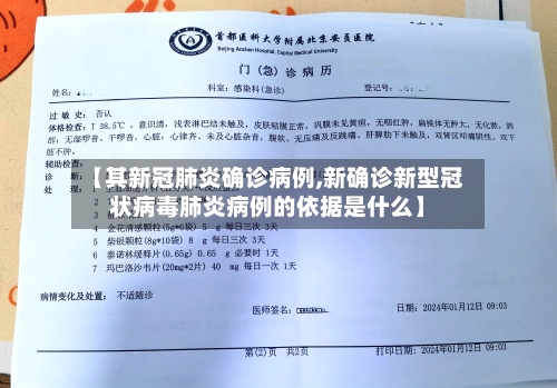 【其新冠肺炎确诊病例,新确诊新型冠状病毒肺炎病例的依据是什么】-第2张图片