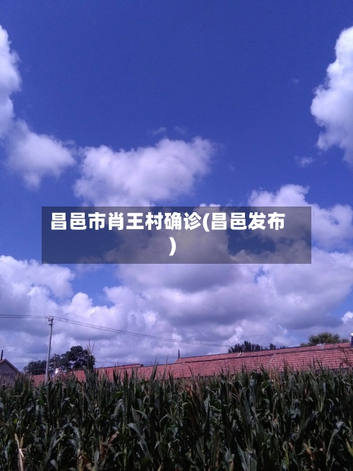 昌邑市肖王村确诊(昌邑发布)-第2张图片