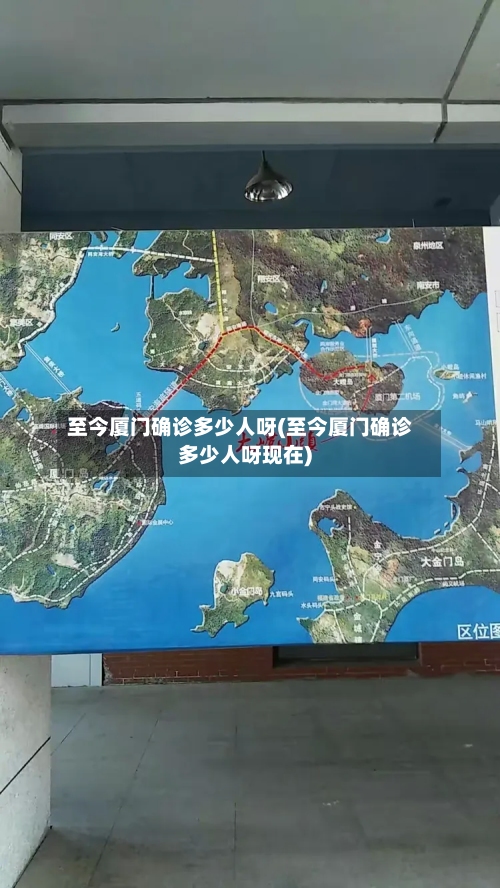 至今厦门确诊多少人呀(至今厦门确诊多少人呀现在)-第3张图片