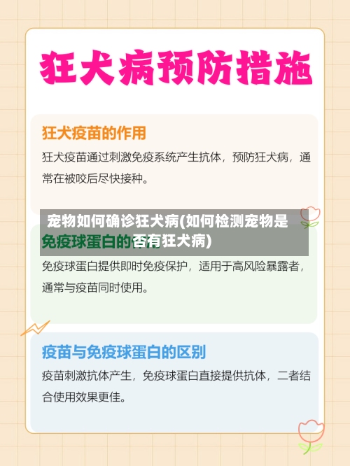 宠物如何确诊狂犬病(如何检测宠物是否有狂犬病)