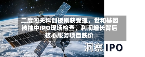 二度闯关科创板刚获受理，世和基因被抽中IPO现场检查，利润增长背后核心服务项目跌价-第2张图片
