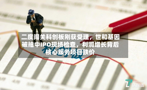 二度闯关科创板刚获受理，世和基因被抽中IPO现场检查，利润增长背后核心服务项目跌价