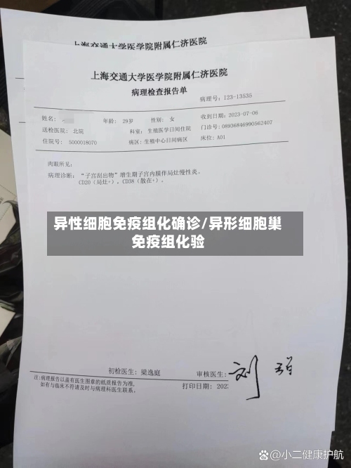 异性细胞免疫组化确诊/异形细胞巢免疫组化验-第2张图片