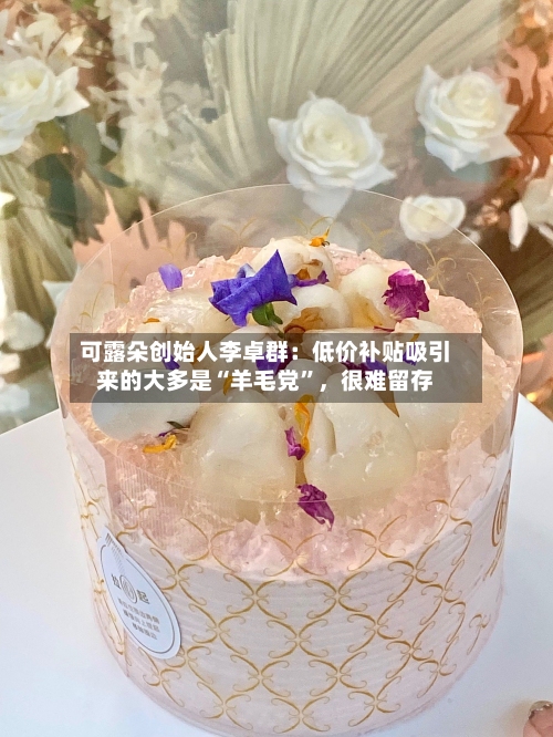 可露朵创始人李卓群：低价补贴吸引来的大多是“羊毛党”，很难留存-第2张图片