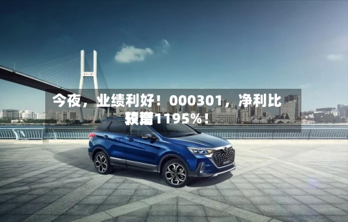 今夜，业绩利好！000301，净利比较高预增1195%！-第2张图片