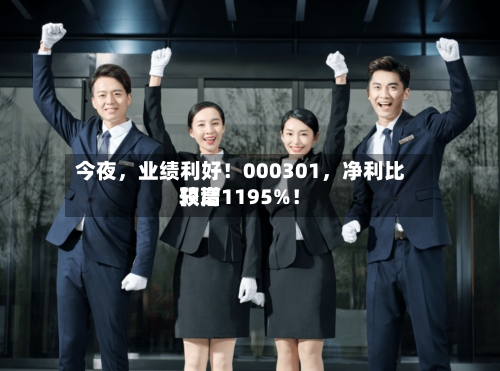 今夜，业绩利好！000301，净利比较高预增1195%！-第3张图片