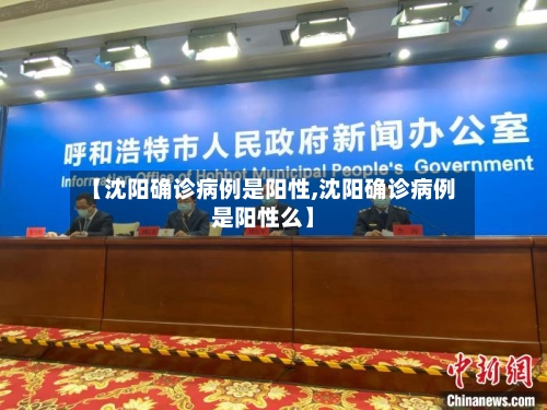 【沈阳确诊病例是阳性,沈阳确诊病例是阳性么】-第3张图片
