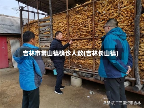 吉林市常山镇确诊人数(吉林长山镇)
