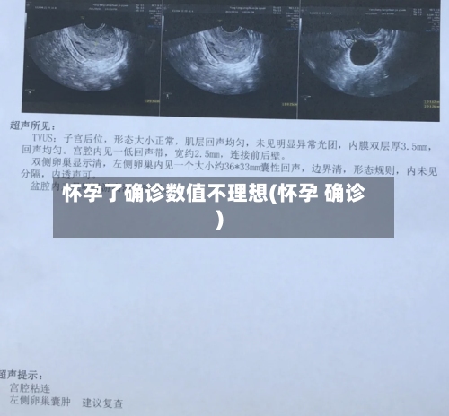 怀孕了确诊数值不理想(怀孕 确诊)-第3张图片