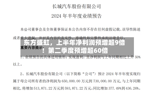 东方盛虹，上半年净利润预增超9倍！第二季度预增超60倍-第1张图片