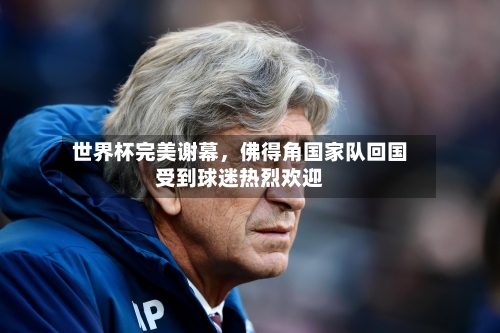 世界杯完美谢幕	，佛得角国家队回国受到球迷热烈欢迎-第3张图片