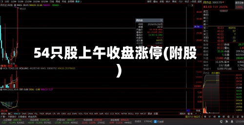 54只股上午收盘涨停(附股)