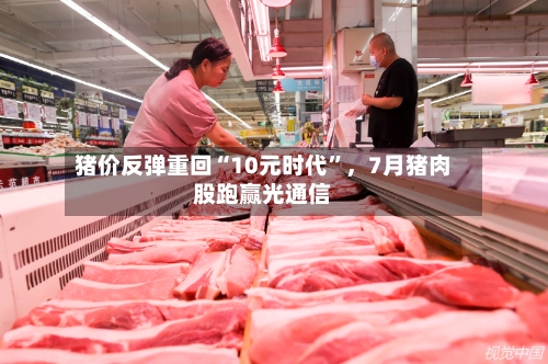 猪价反弹重回“10元时代”，7月猪肉股跑赢光通信