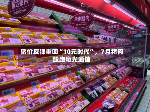 猪价反弹重回“10元时代”，7月猪肉股跑赢光通信-第2张图片