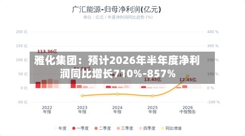雅化集团：预计2026年半年度净利润同比增长710%-857%-第3张图片