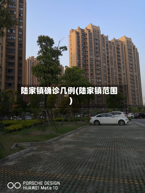 陆家镇确诊几例(陆家镇范围)