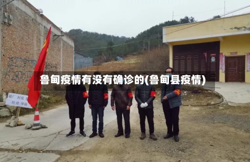 鲁甸疫情有没有确诊的(鲁甸县疫情)-第2张图片