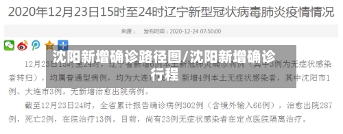 沈阳新增确诊路径图/沈阳新增确诊行程