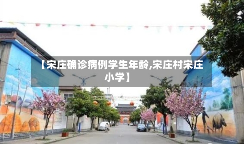【宋庄确诊病例学生年龄,宋庄村宋庄小学】