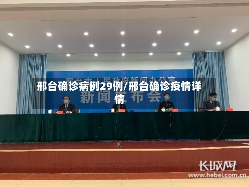 邢台确诊病例29例/邢台确诊疫情详情-第2张图片