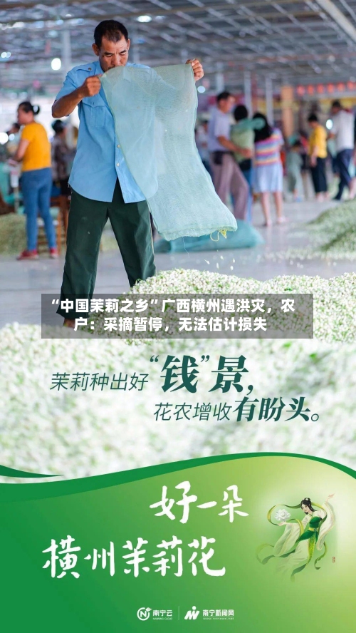 “中国茉莉之乡”广西横州遇洪灾，农户：采摘暂停，无法估计损失-第3张图片